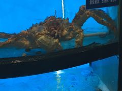 -莆鑫海鲜城(浏河店)