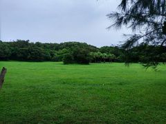 -鹅銮鼻公园