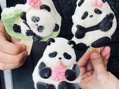 -成都大熊猫繁育研究基地
