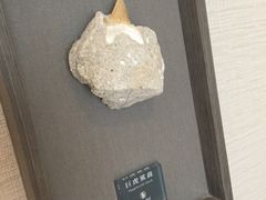 -九龙东如心酒店