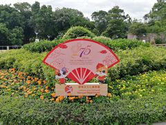 -九龙公园