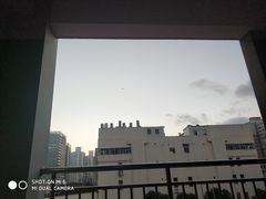 -上海市黄浦区教育学院附属中山学校