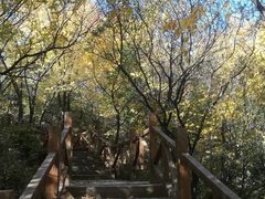-大岭沟猕猴桃谷风景区