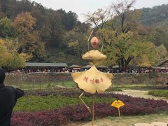 -千年银杏谷文化旅游区