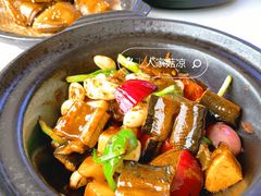 -鸽小宝(深圳首店)