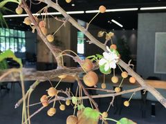大堂-山下C5cafe(惠通时代广场店)