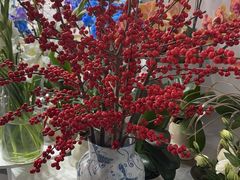 -淘花源花艺鲜花店 开业花篮 绿植(南部商务区店)