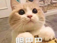 -Peet's Coffee皮爷咖啡(德基店)