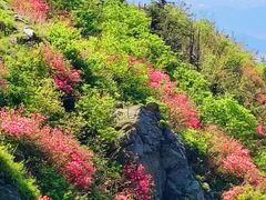 -木兰云雾山