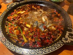 红汤锅-三道苗苗鱼·美蛙黄辣丁(八里店)