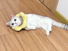 -联合动物医院(光谷诊疗中心)