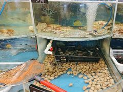 -鑫渔港海鲜本地菜·山海关浑锅(东戴河店)