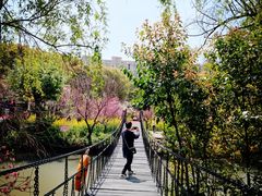 -南汇桃花村