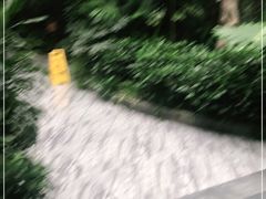 -滕头生态酒店(奉化店)