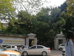 -武汉大学-樱园