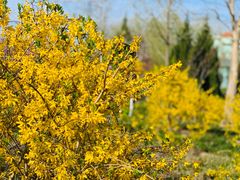 -北京园博大酒店