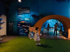 -石家庄海洋公园