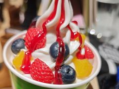-Salud撒露欧洲冻酸奶(北苑上品店)