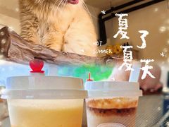 -小时光咖啡馆(开森度假森林店)