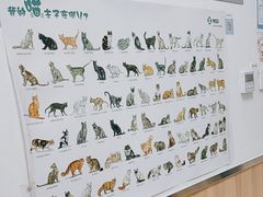 -宠福鑫康馨动物医院·骨科·眼科