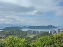 -黄贤森林公园