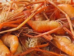 -天乐农家鱼头王(天目湖店)