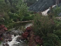 -武清南湖绿博园