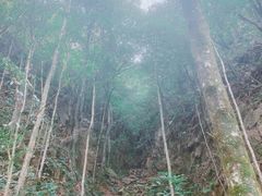 -十里画廊