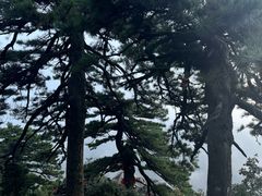 -南岳衡山风景名胜区-南岳大庙