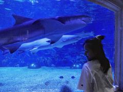 -成都浩海立方海洋公园