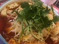 -西域阿里马新疆菜·清真(桂花路店)