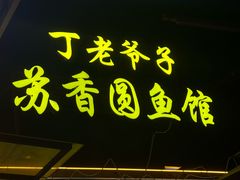 -丁老爷子苏香圆
