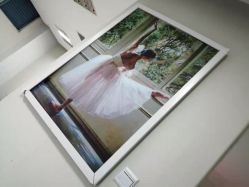 -榕树上·瑜伽普拉提