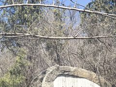 -白水寺森林公园
