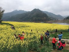 -新安江山水画廊风景区
