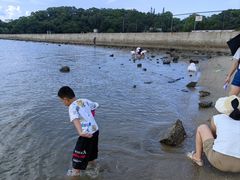 -东山码头