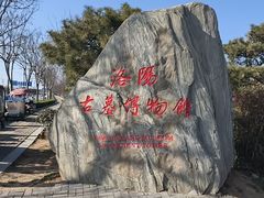 -洛阳古墓博物馆