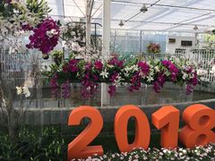 -上海鲜花港