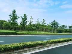 -上海保利玛莎拉蒂和阿尔法罗密欧(华翔路店)