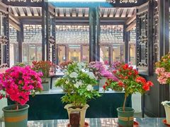 -上海醉白池公园