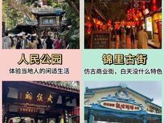-成都大熊猫繁育研究基地