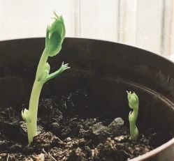 -Oasis Beauty水磨坊科技美肤中心