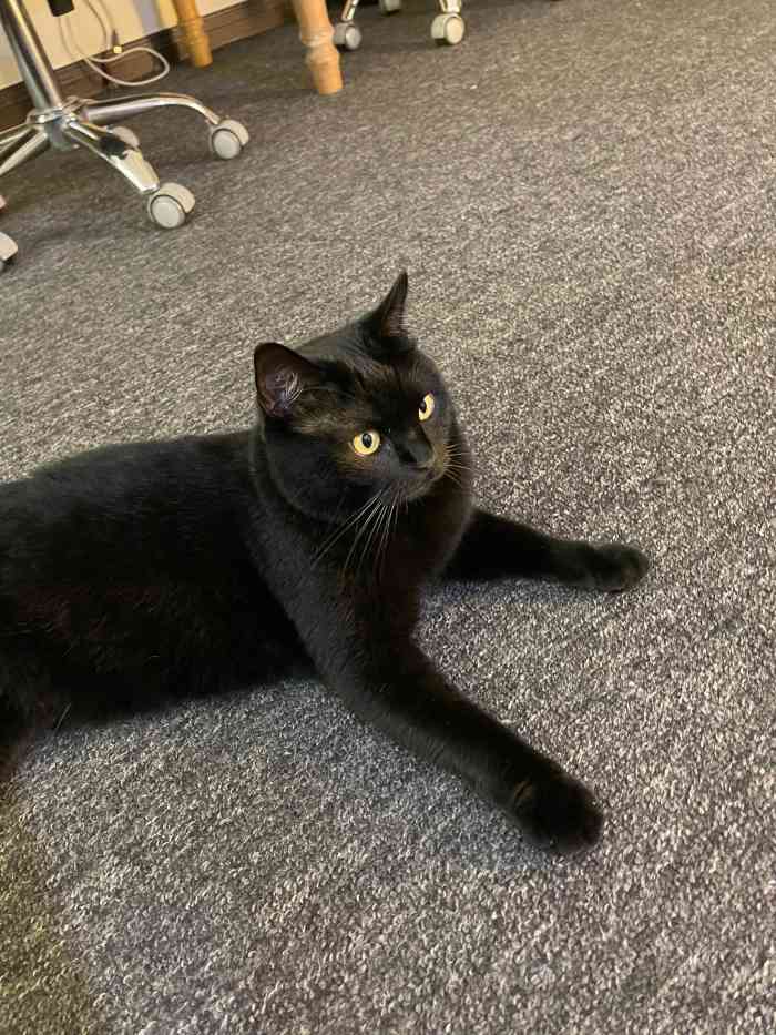 壹明刺青 ym tattoo-"工作室选址在别墅区 环境很舒服初入到工.