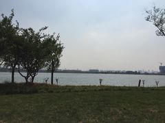 -郑东新区龙湖公共艺术中心