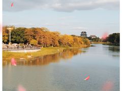 -海珠湖公园