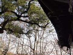 -北山街历史文化街区