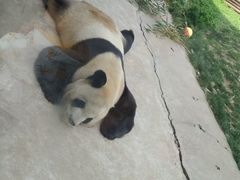 -西安秦岭野生动物园