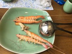 -海桐