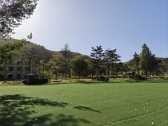 -南泥湾风景区