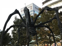 -六本木新城展望台(东京城市景观)